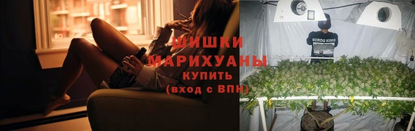 прущая мука Пересвет