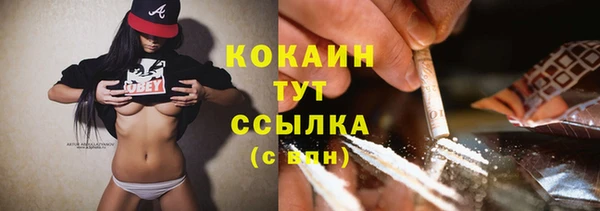 прущая мука Пересвет