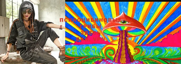 прущая мука Пересвет