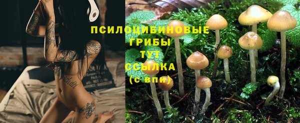 марихуана Гвардейск