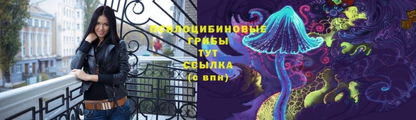 прущая мука Пересвет