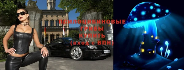 прущая мука Пересвет