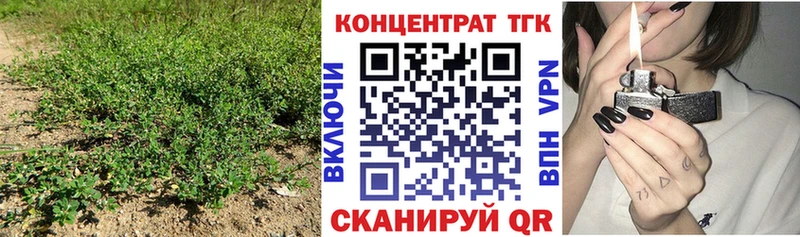 Дистиллят ТГК THC oil  купить закладку  Пугачёв 